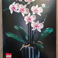 Lego Botanicals Orchidea