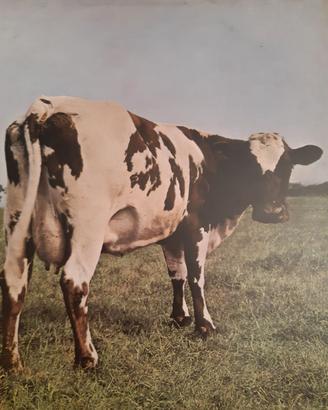 Pink Floyd - Atom heart mother (UK)/Momentary laps
