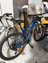 Mountain bike bergamont