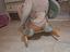 Immagine 1