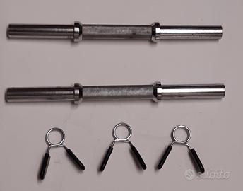 Coppia manubri pesi palestra