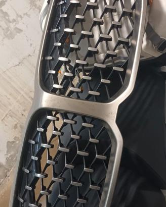 Griglia frontale BMW Serie 1 MSport