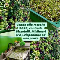 OLIO RACCOLTA 2025