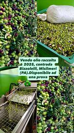 OLIO RACCOLTA 2025