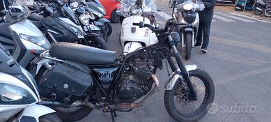 Brixton Cromwell 250 - 2021