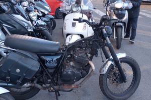 Brixton Cromwell 250 - 2021