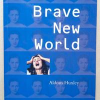 Brave new world (Simplified edition)