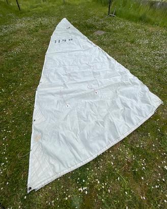 RANDA COMET 801