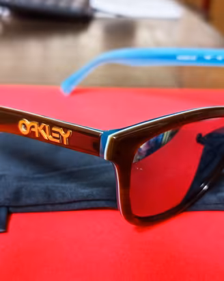 Occhiali da sole Oakley Frogskins LX 2043-03 Polar