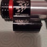 Ammortizzatore sterzo Matris