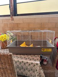 gabbia x conigli 
