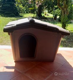 cuccia media 