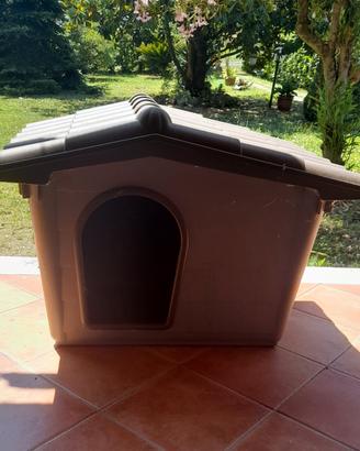 cuccia media 