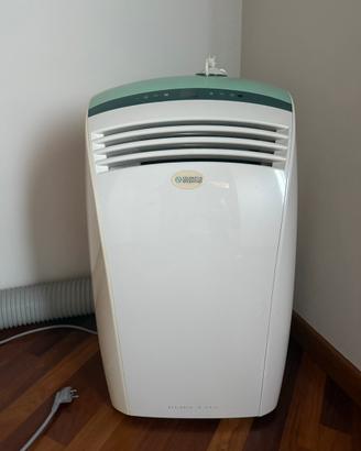 Condizionatore Portatile e deumidificatore