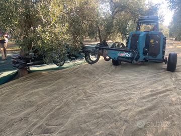 Scuotitrice per olive