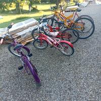 biciclette in stock