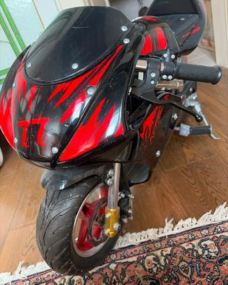Mini moto