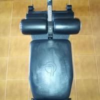 Sissy Squat Lacertosus ultima versione