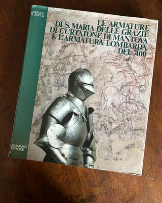 Le ARMATURE di Santa Maria di Curtatone di Mantova