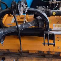 trinciatrice posteriore orsi