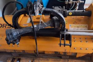 trinciatrice posteriore orsi