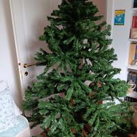 albero di natale