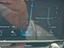Immagine 11