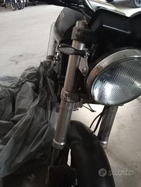 Ducati monster