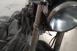 Ducati monster