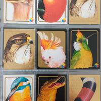 TH & LP, carte animali anni 90, amici del cuore 