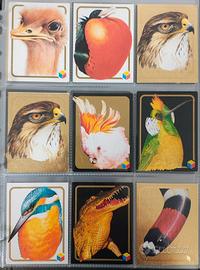 TH & LP, carte animali anni 90, amici del cuore 