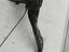 Immagine 11