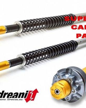 Honda sh 300 - kit cartucce forcella andreani