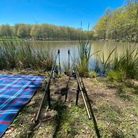 Canne e mulinelli Carpfishing