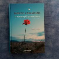 Libro il numero più grande è due