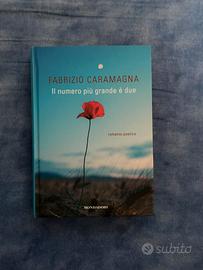Libro il numero più grande è due
