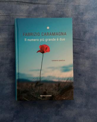 Libro il numero più grande è due