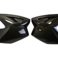 FIANCHETTI LATERALI SERBATOIO CARBONIO BMW R1200GS