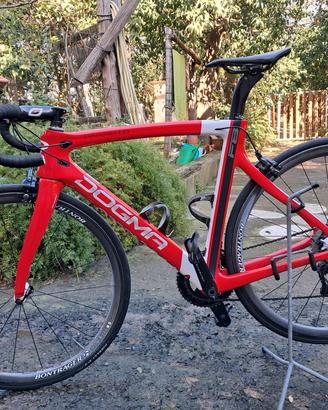 PINARELLO F8 DOGMA