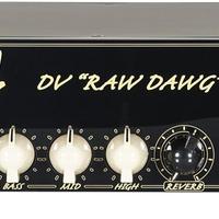 DV Mark  Eric Gales 250 watt Neoclassic 112 small