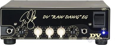 DV Mark  Eric Gales 250 watt Neoclassic 112 small