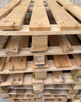 Pallet in legno