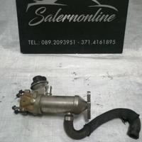 Scambiatore acqua Smart 451 2013