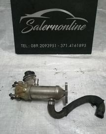 Scambiatore acqua Smart 451 2013