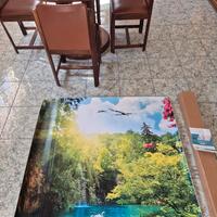 Carta da parati adesiva