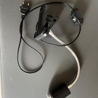 Luce UV tartarughe dacqua