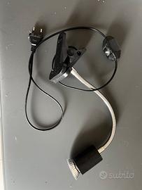 Luce UV tartarughe dacqua