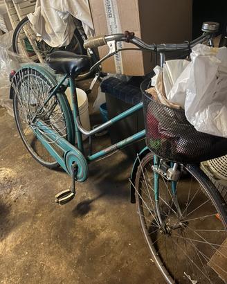 Bianchi Sport Lusso Donna