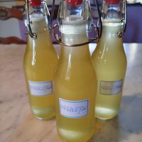Liquore di frutto della passione. Maracujello