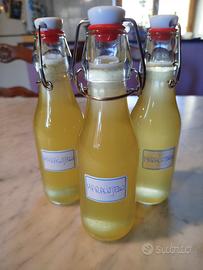 Liquore di frutto della passione. Maracujello